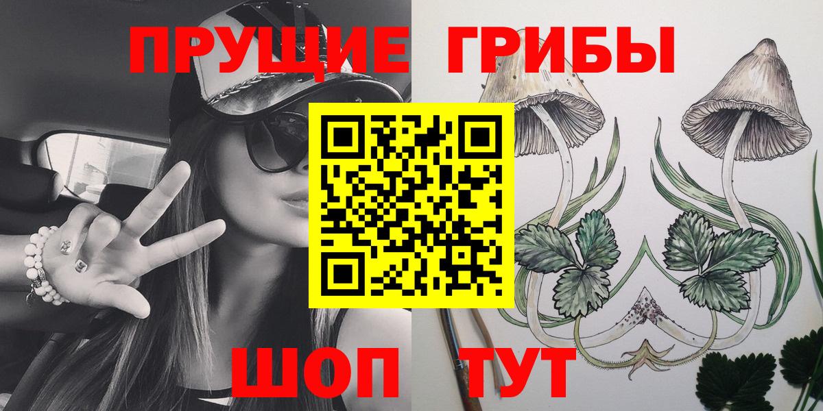 Псилоцибиновые грибы прущие грибы Минеральные Воды